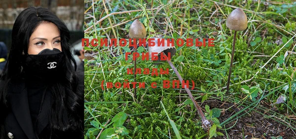 apvp Ханты-Мансийск