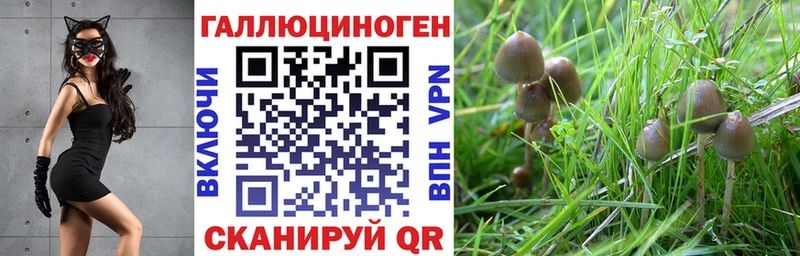 Галлюциногенные грибы MAGIC MUSHROOMS  Купить  Тутаев 